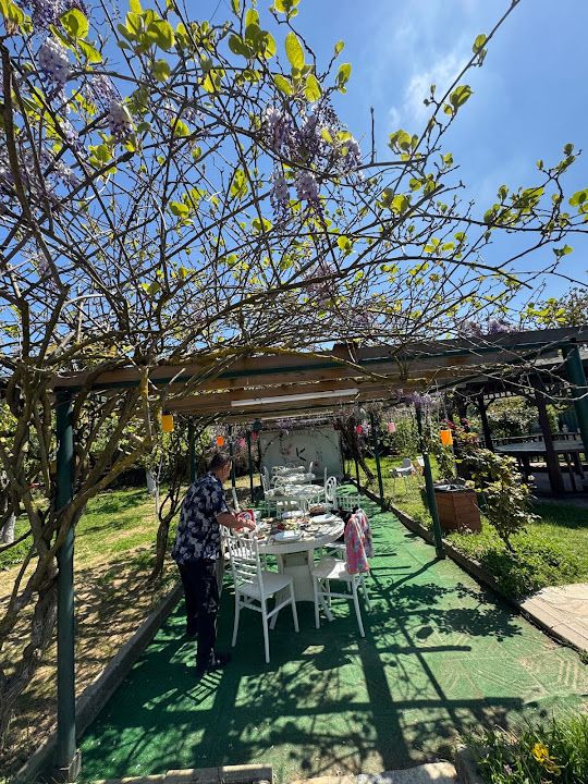 Fotoğraf 63