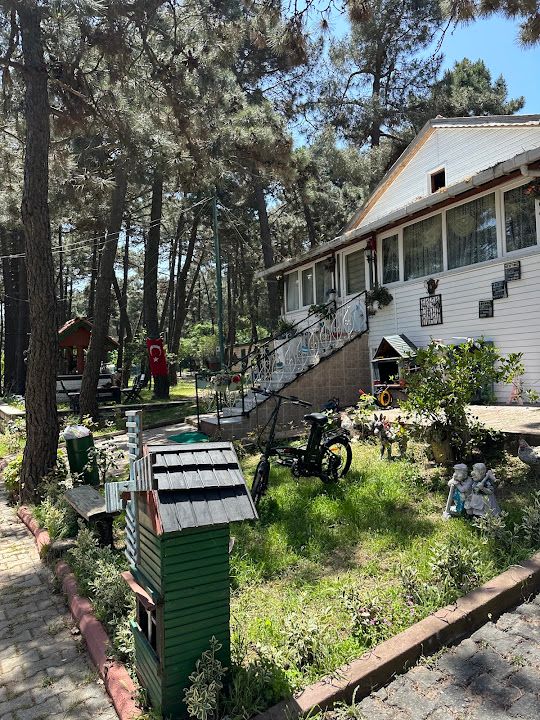 Fotoğraf 64