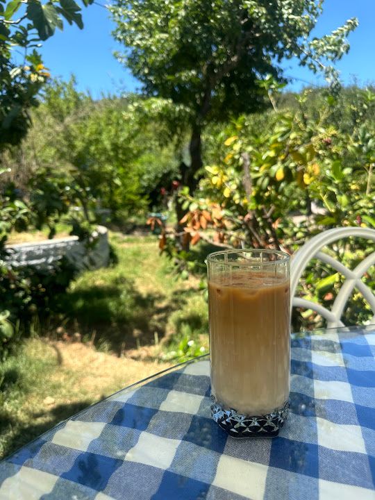 Fotoğraf 73