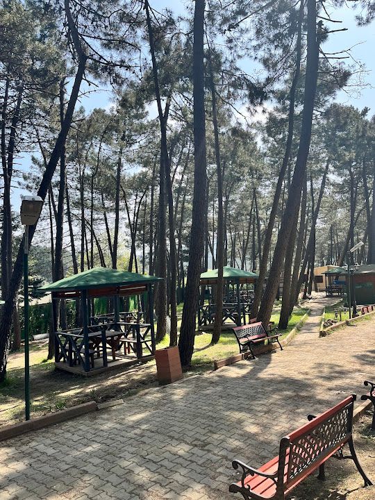 Fotoğraf 70