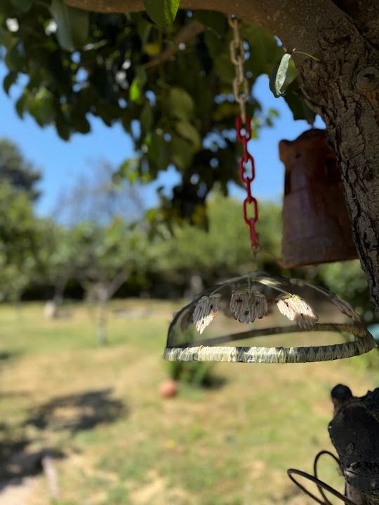 Fotoğraf 45