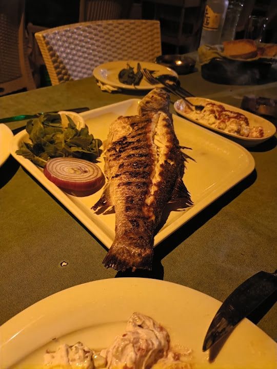 Fotoğraf 42