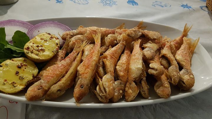 Fotoğraf 16