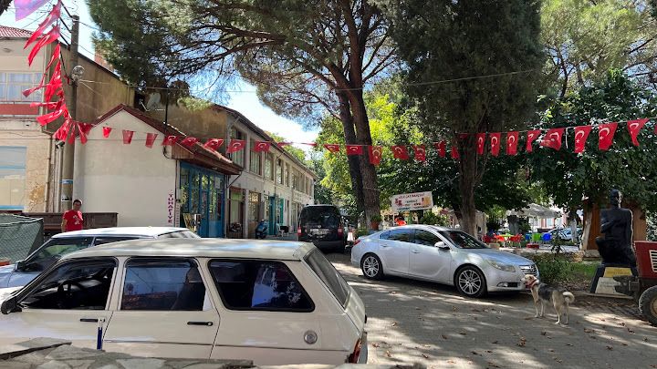 Fotoğraf 5