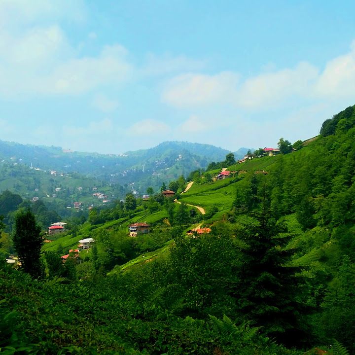 Rize Kalkandere Maşer