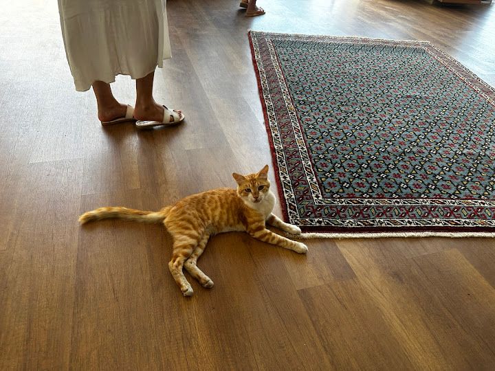 Yorum fotoğrafı 3