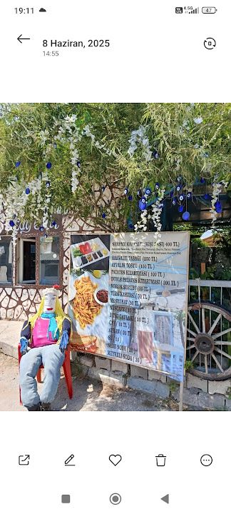 Fotoğraf 22