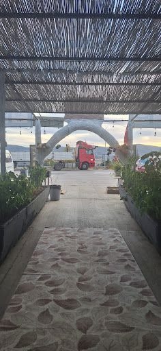Fotoğraf 15