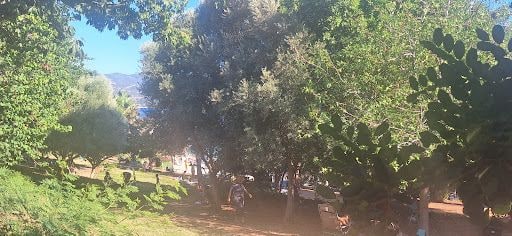 Yorum fotoğrafı 4