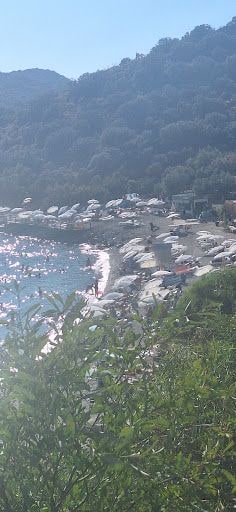 Yorum fotoğrafı 7