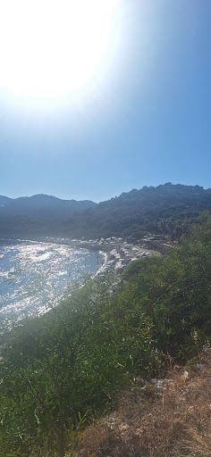 Yorum fotoğrafı 8
