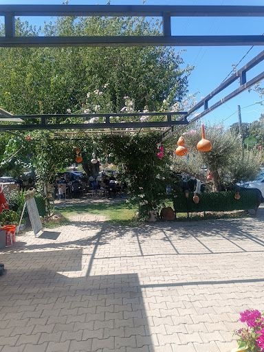 Fotoğraf 16