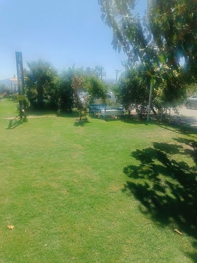 Fotoğraf 18