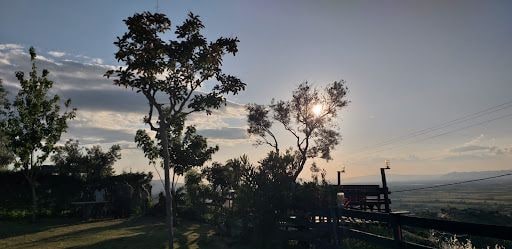 Fotoğraf 19