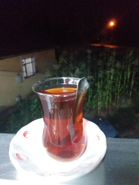 Fotoğraf 16