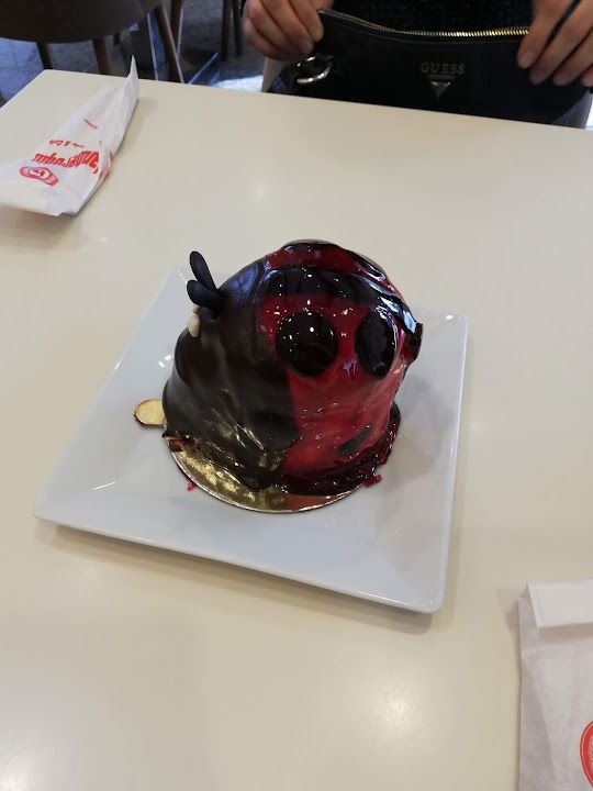 Fotoğraf 15