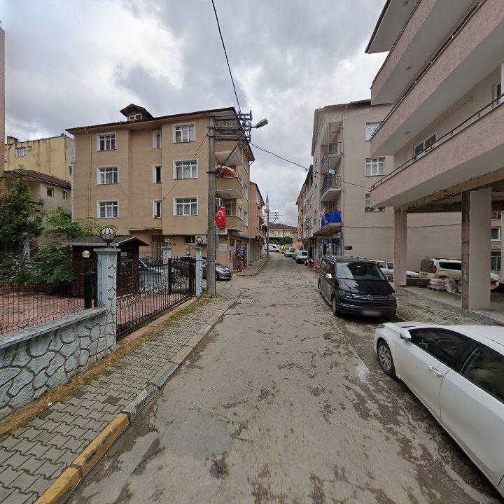 Fotoğraf 7