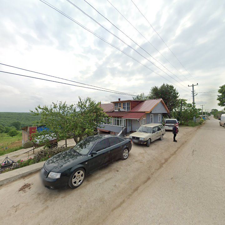Fotoğraf 8
