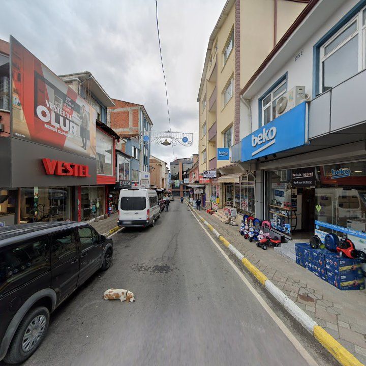 Fotoğraf 9