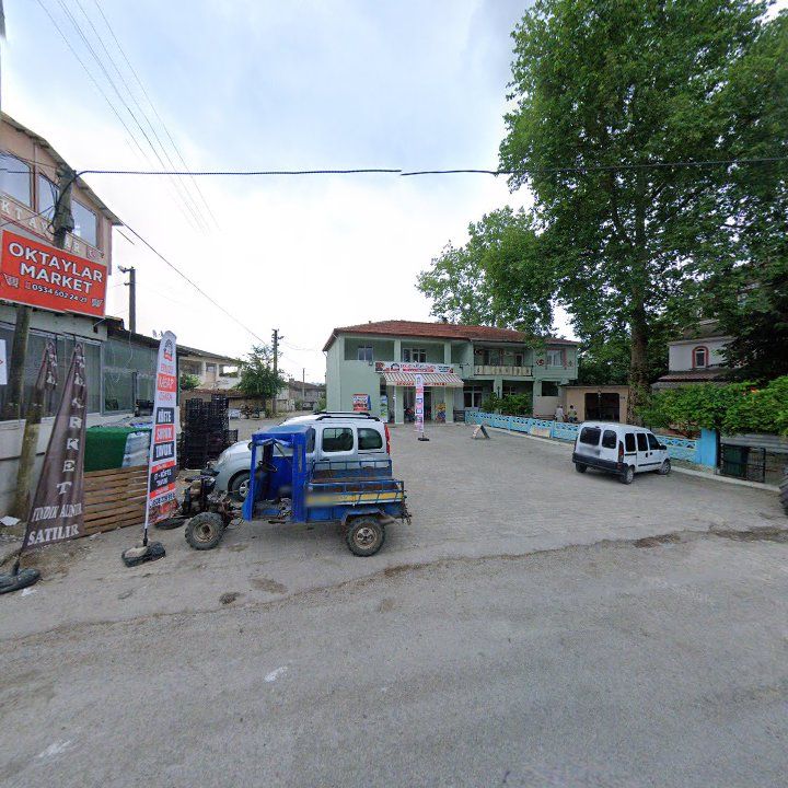 Fotoğraf 3