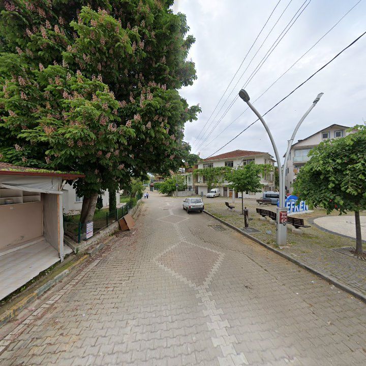 Fotoğraf 6