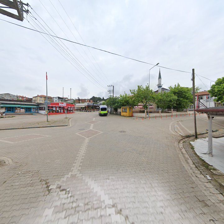 Fotoğraf 8