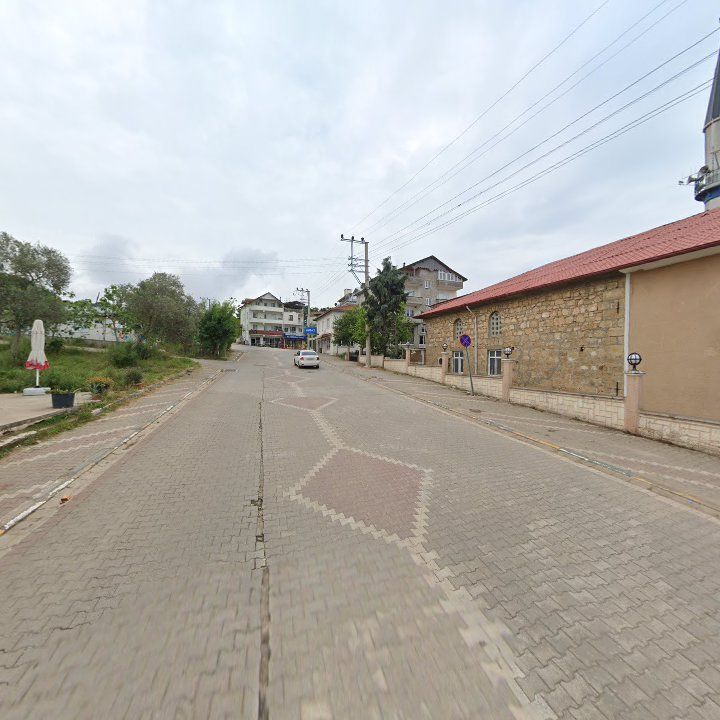 Fotoğraf 7