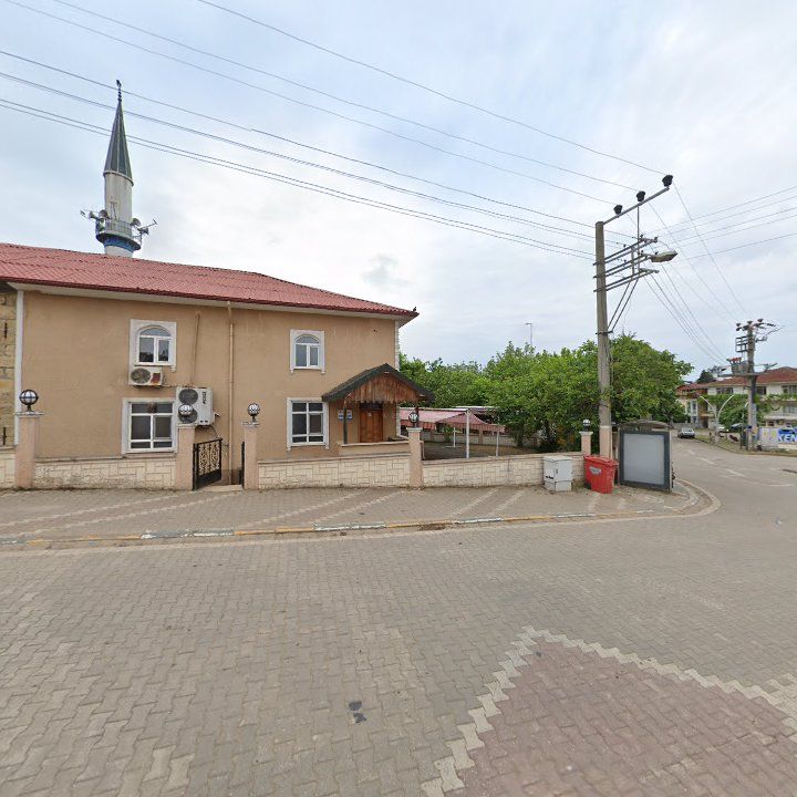 Fotoğraf 8