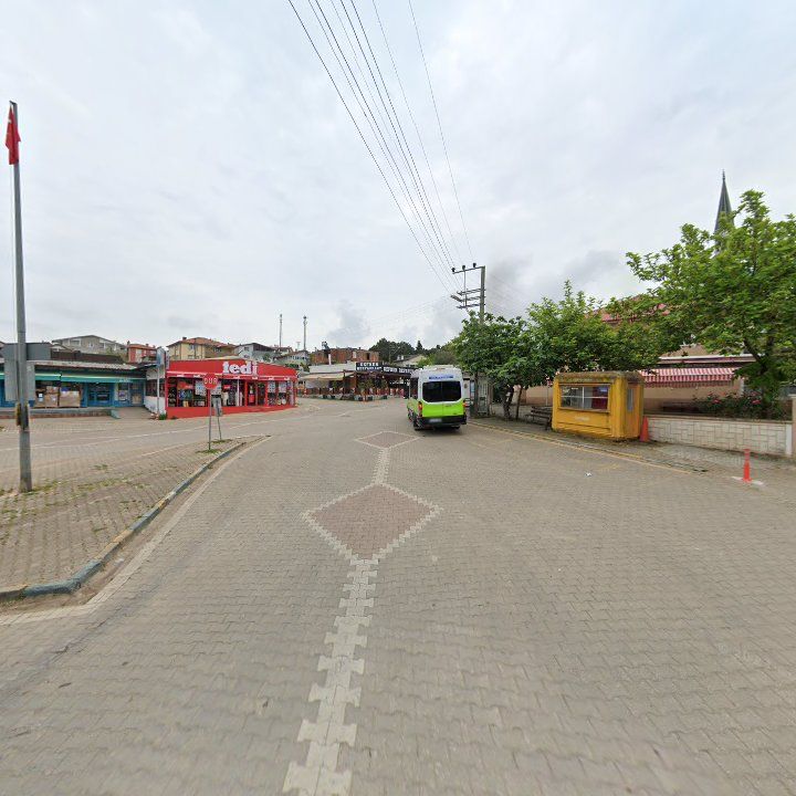 Fotoğraf 12