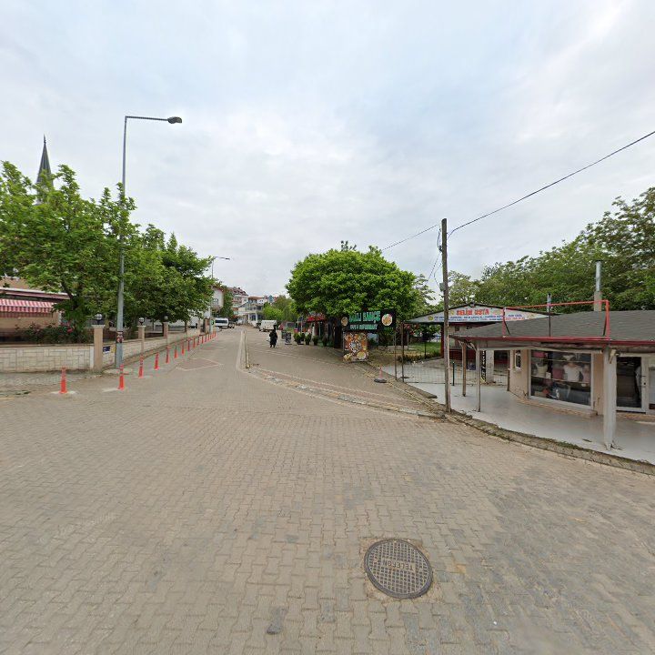 Fotoğraf 9