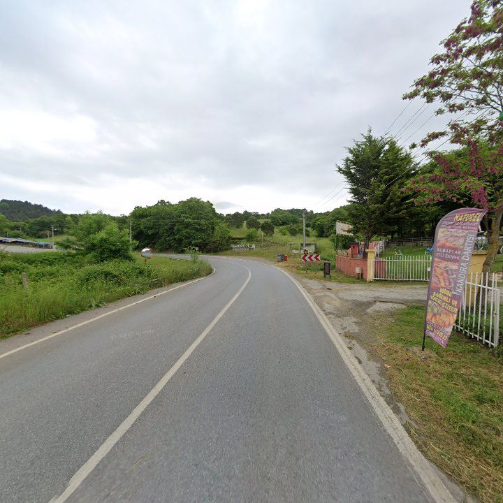 Fotoğraf 10