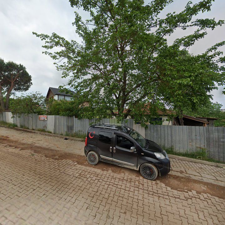 Fotoğraf 6
