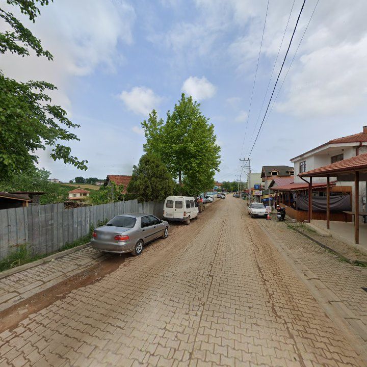 Fotoğraf 7