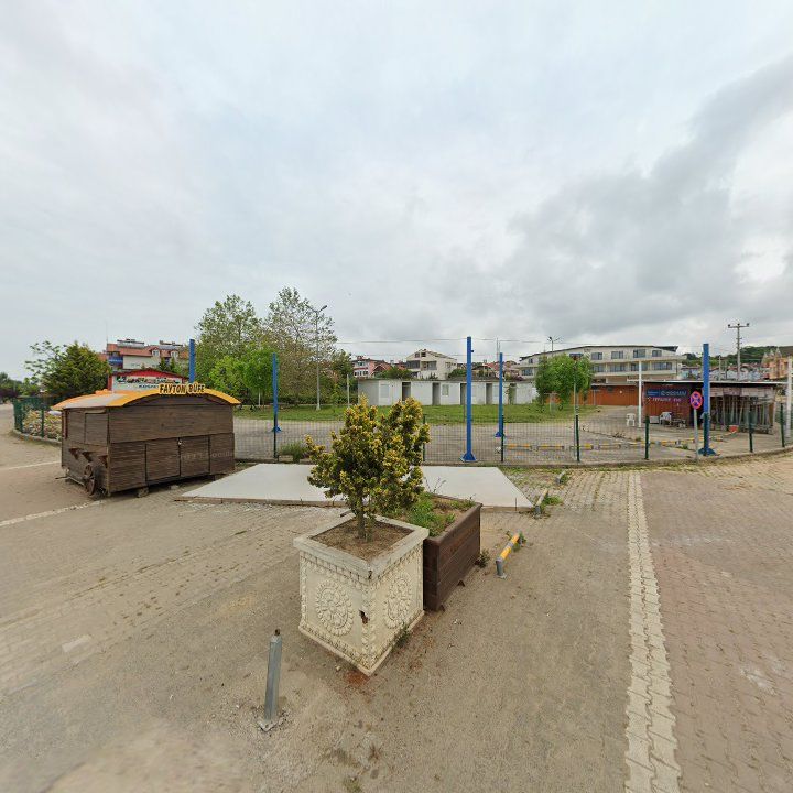 Fotoğraf 8