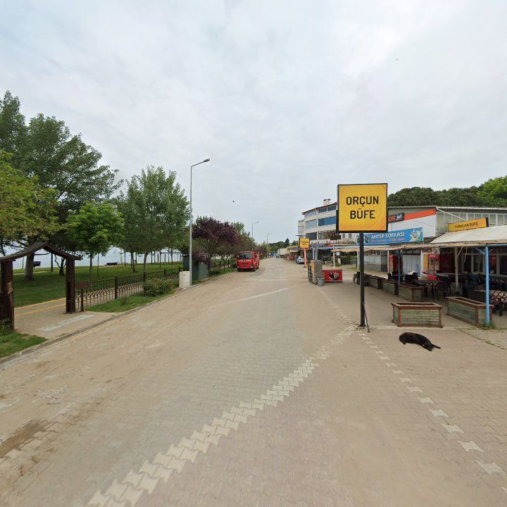 Fotoğraf 11
