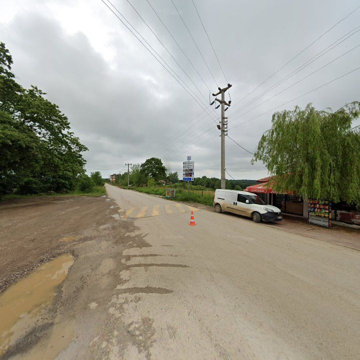 Fotoğraf 6