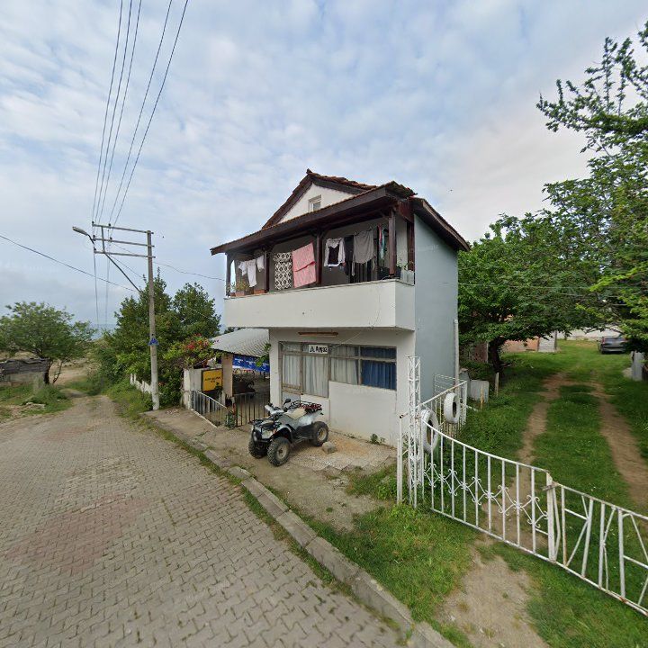 Fotoğraf 7