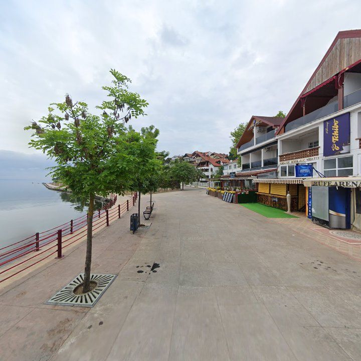 Fotoğraf 9