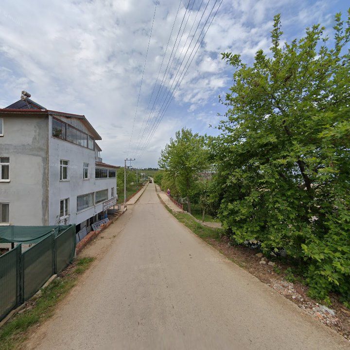 Fotoğraf 8