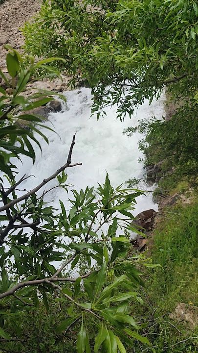 Fotoğraf 27