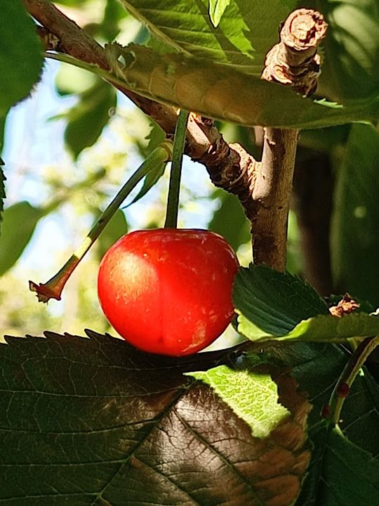 Fotoğraf 33