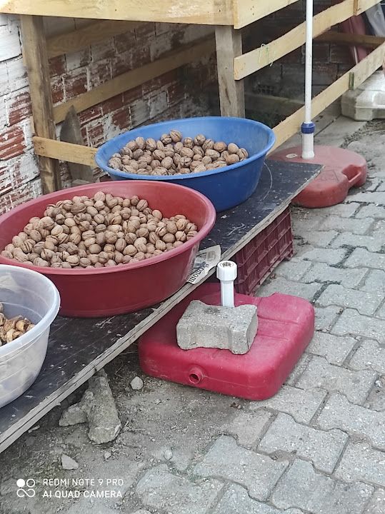 Fotoğraf 32