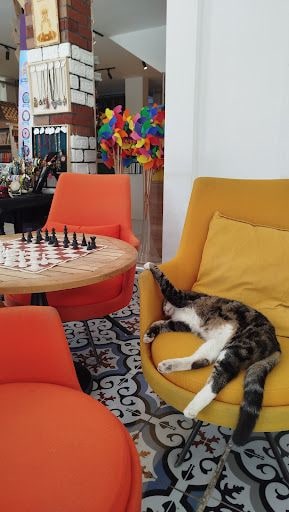 Yorum fotoğrafı 8