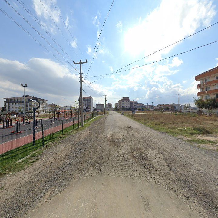 Fotoğraf 10