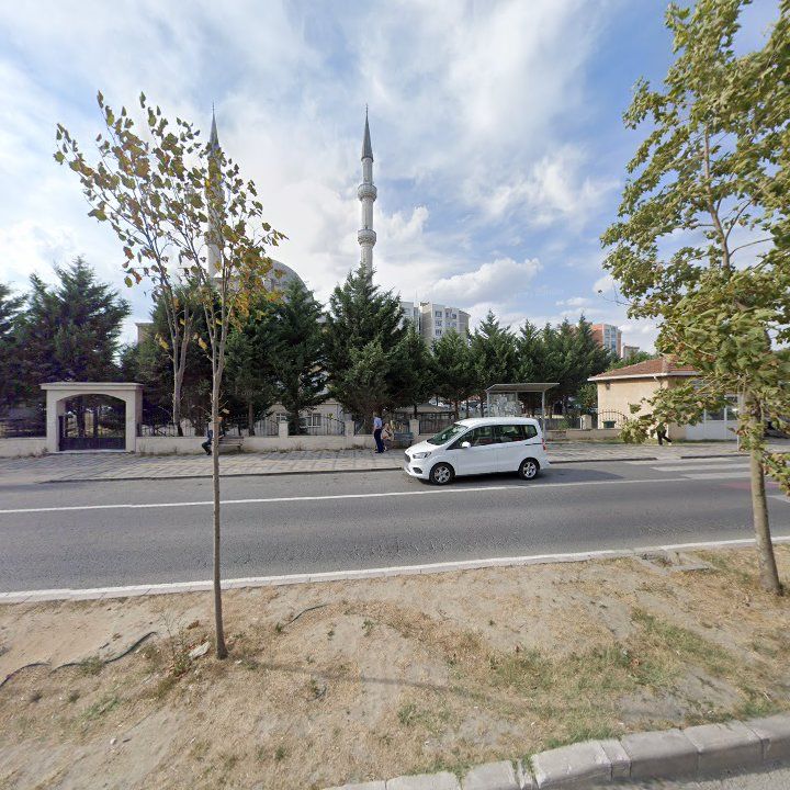 Fotoğraf 9