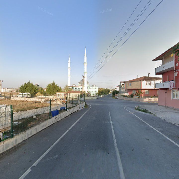 Fotoğraf 7