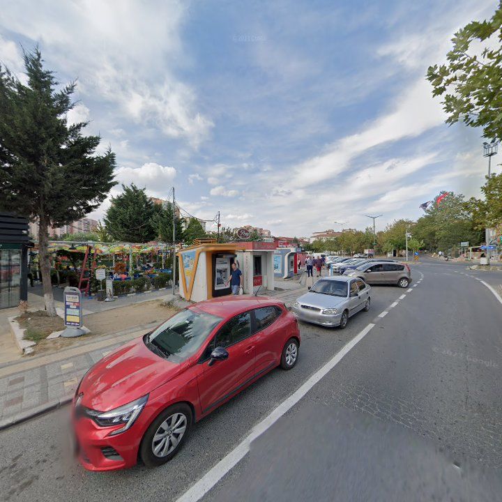 Fotoğraf 9