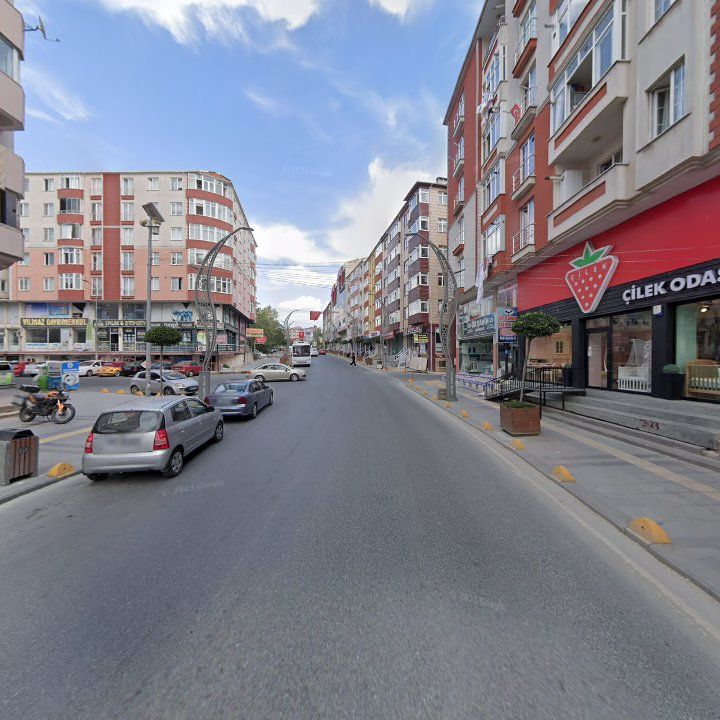 Fotoğraf 7