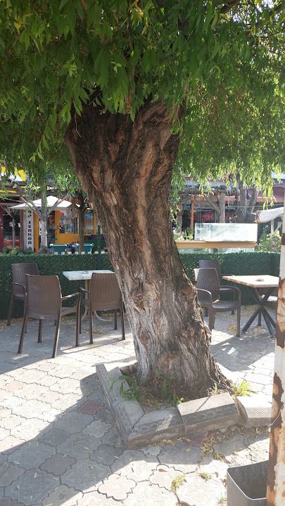 Gurme Midye Kokoreç