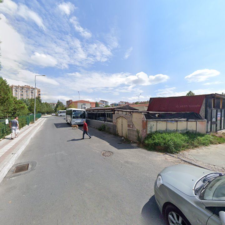 Fotoğraf 10